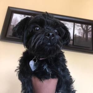 Meet your Posher, Crystal